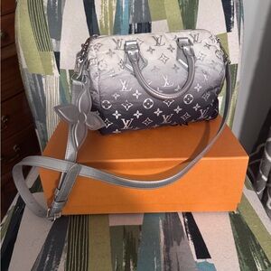 Louis Vuitton SKI Speedy 25 Monogram Frost M11848